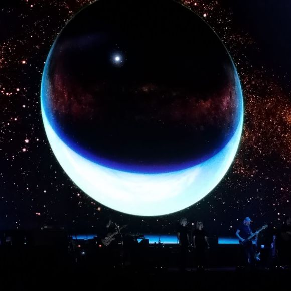 Meet your Posher, Rachel - Picture 1 of 1